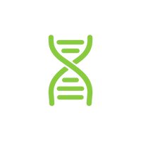 Premium Non-GMO ingredients